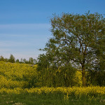 Naast het viaduct N50 Flevoweg
#Kampen do, 23 april 2020 19:36